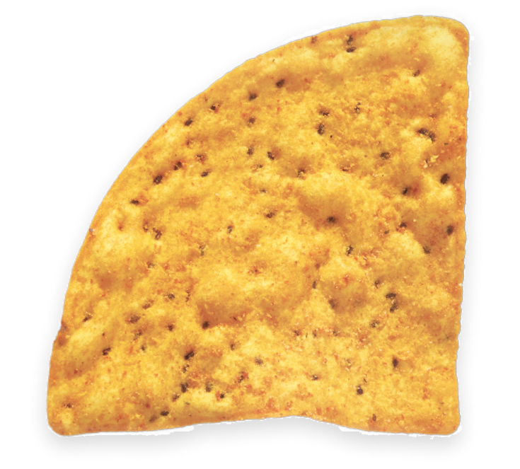 tortilla chip