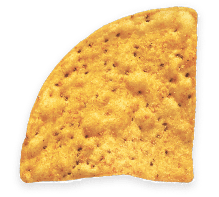 tortilla chip